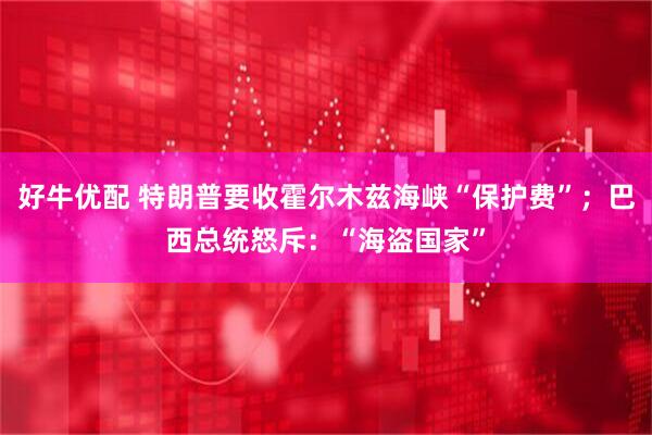 好牛优配 特朗普要收霍尔木兹海峡“保护费”；巴西总统怒斥：“海盗国家”