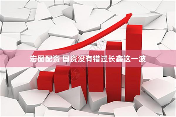 宏图配资 国资没有错过长鑫这一波